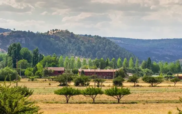 Imagen representativa de La Trufa Madre. Casas rurales en Vega del Codorno