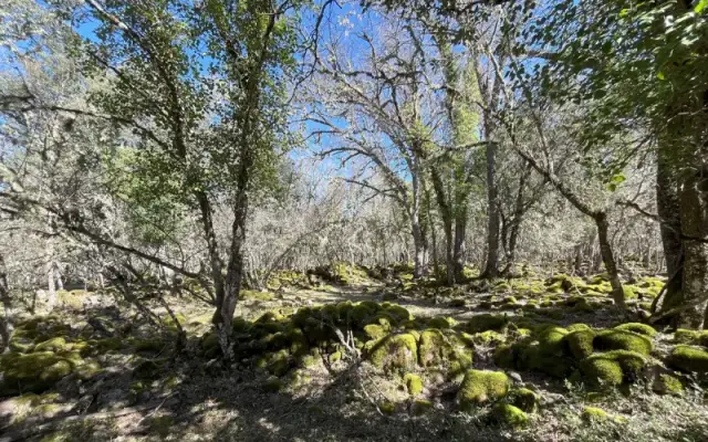 Imagen representativa de Los Casares: restos de un castro celtíbero en Valdemoro de la Sierra