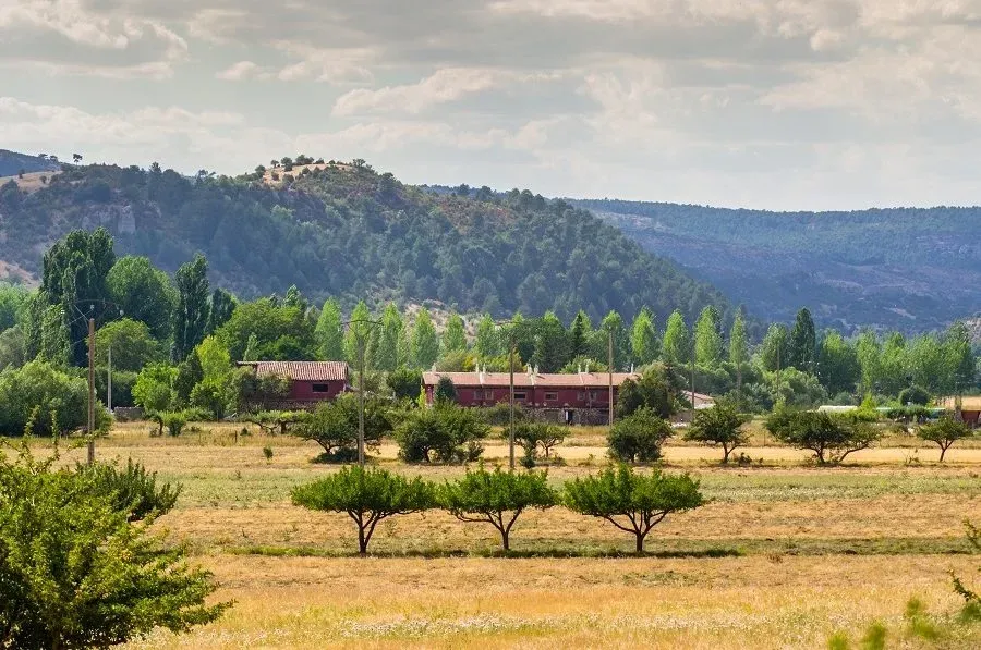 Imagen de portada del artículo: La Trufa Madre. Casas rurales en Vega del Codorno