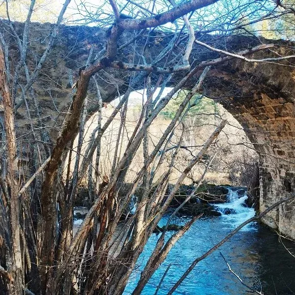 Imagen de portada del artículo: Puente medieval de Los Chorros
