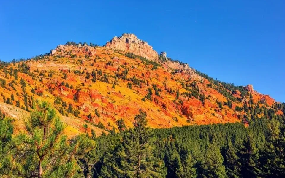 Imagen de portada del artículo: VIII Edición Día de la Serranía en Campillos Paravientos