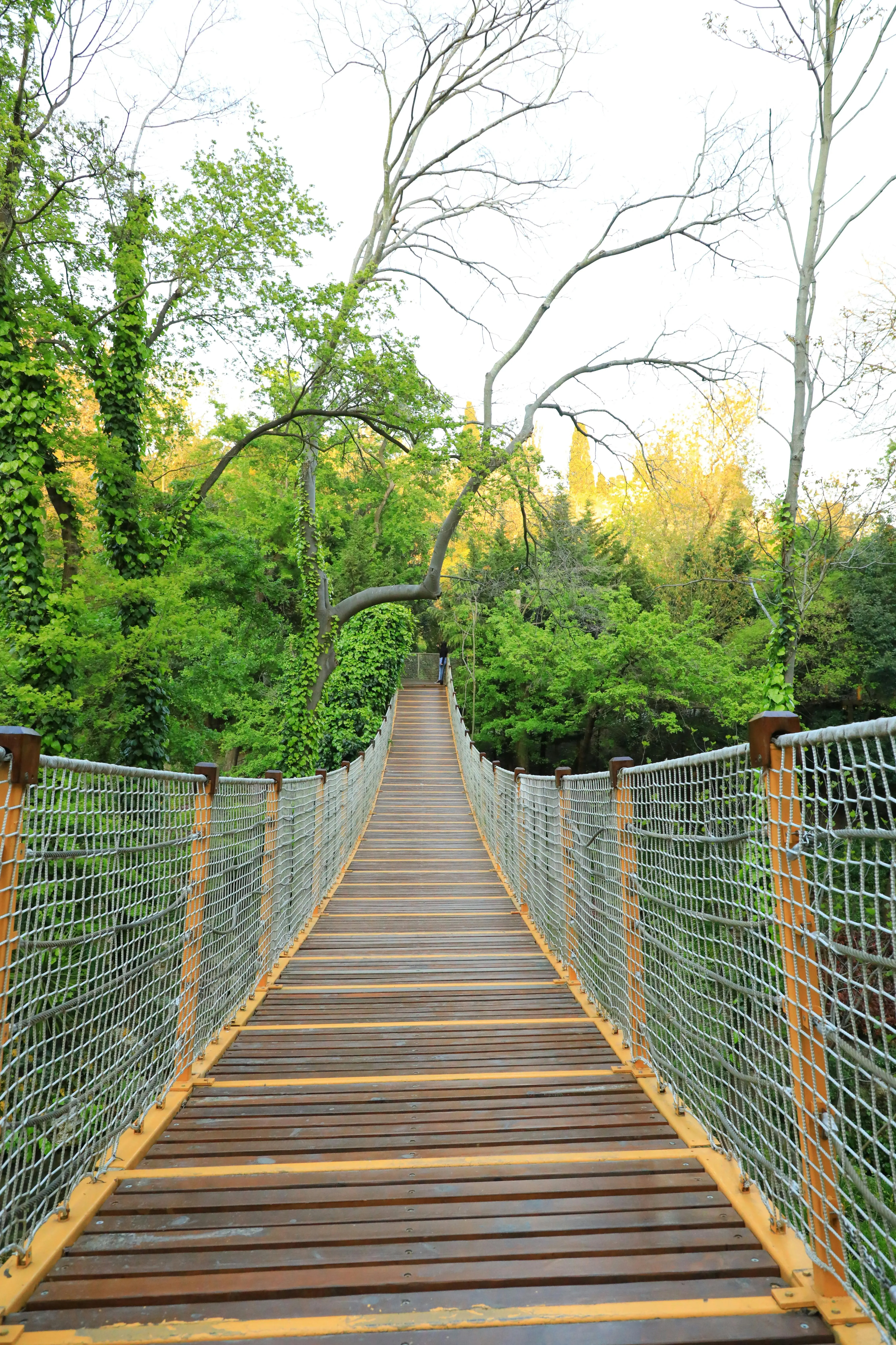Previsualización del Mapa Interactivo