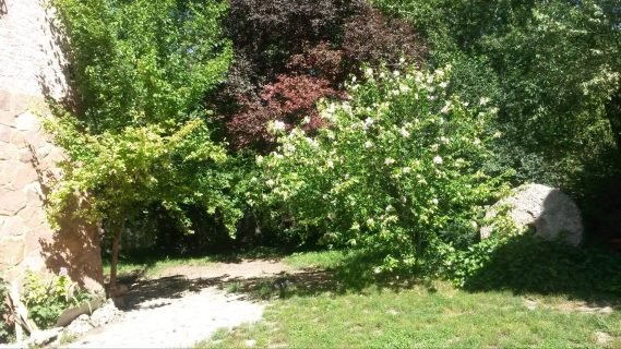 Casas rurales Molino del Marqués