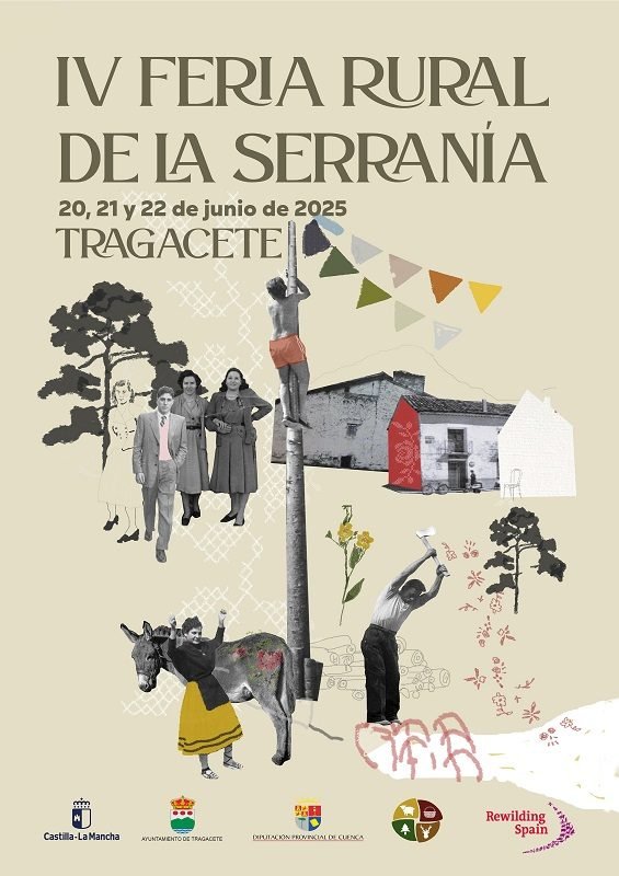 Programa de Festejos