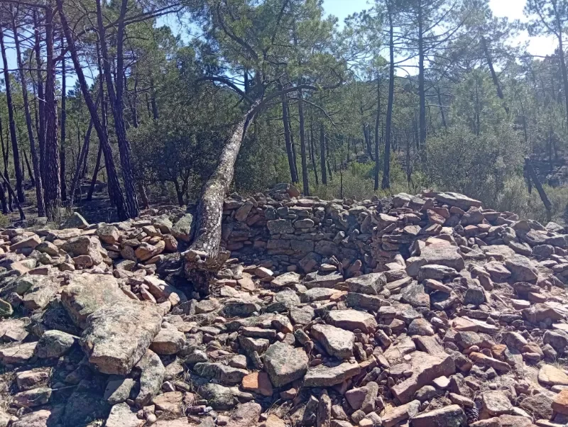Una necrópolis de túmulos y tumbas en la Serranía de Cuenca
