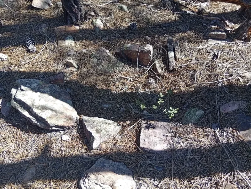 Una necrópolis de túmulos y tumbas en la Serranía de Cuenca